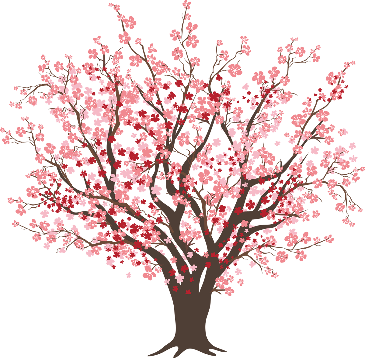 Albero di ciliegio