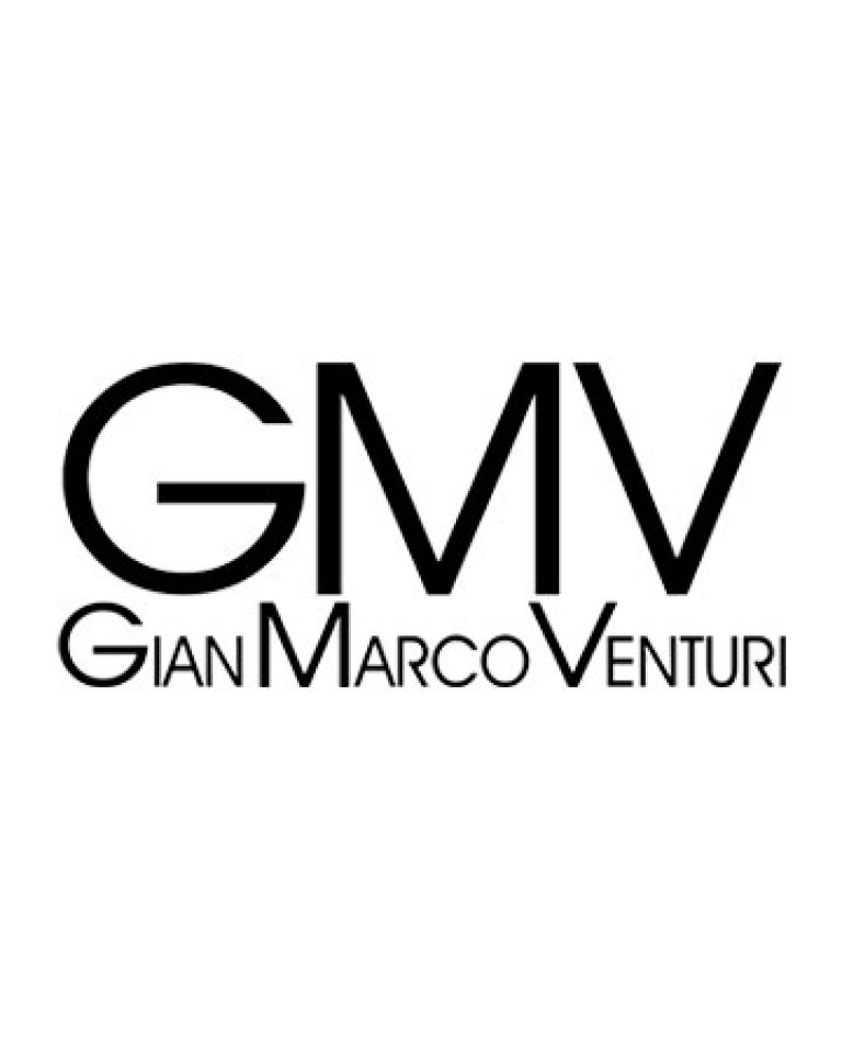 Gian Marco Venturi Logo