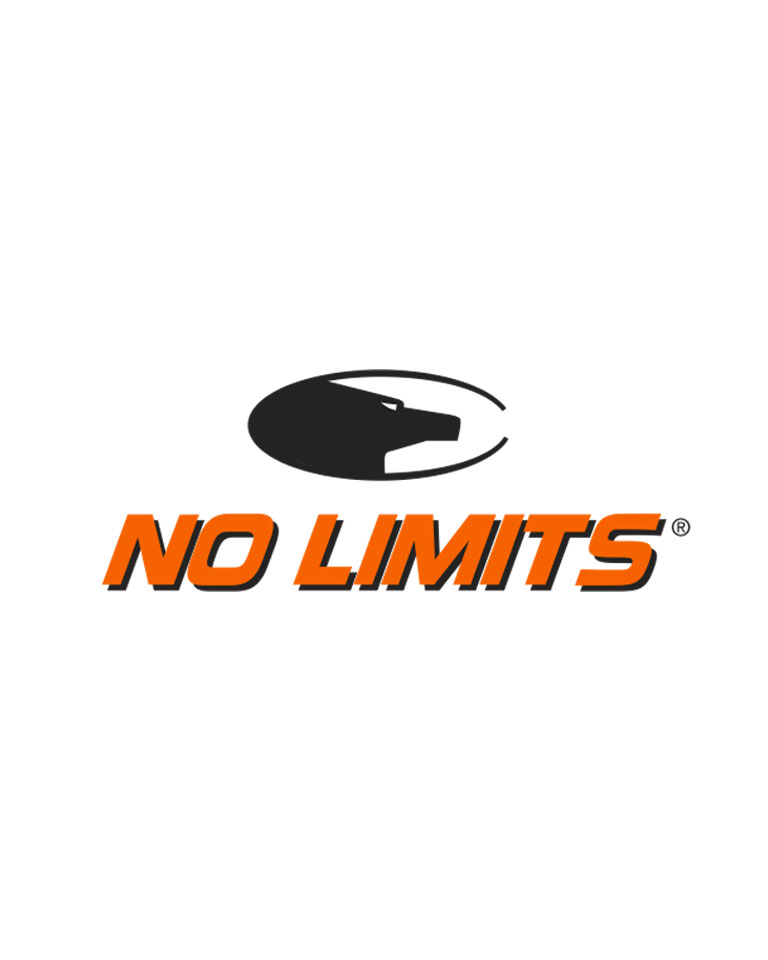 No Limits Logo